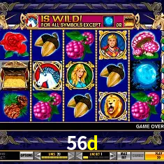 56d Salvador - Studio Tour